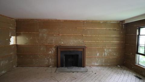 Almost Gone - IMG_1082wz0.jpg