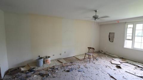 Almost Gone - IMG_10848gK.jpg