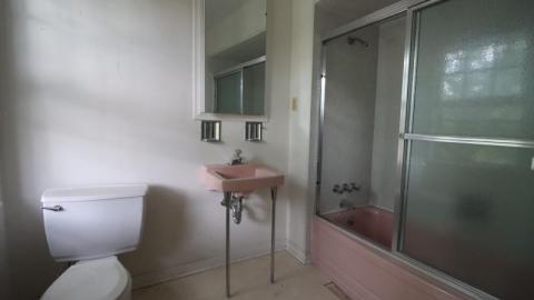 Almost Gone - IMG_1091hAU.jpg