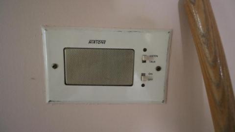 Almost Gone - IMG_1093G5b.jpg