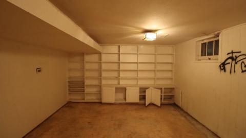 Almost Gone - IMG_1071CTv.jpg