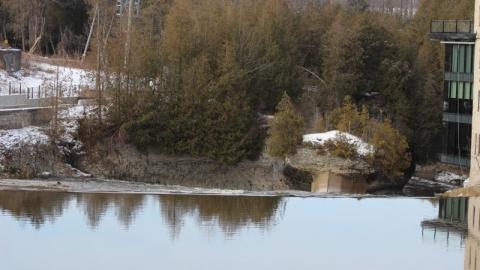 It Was Like An Early B-Day - IMG_2018ZDT.jpg