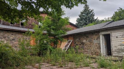 Suburban Cabin - IMG_20200719_1951384We.jpg