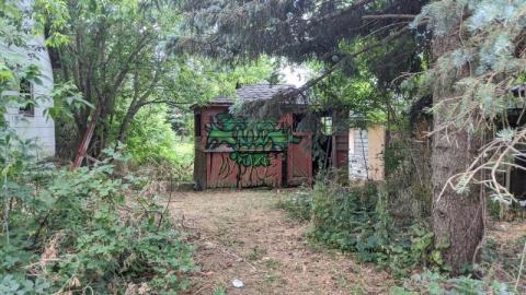 Suburban Cabin - IMG_20200719_194923dla.jpg