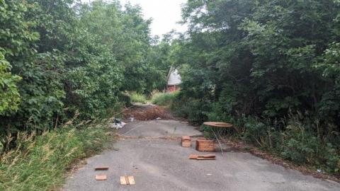 Suburban Cabin - IMG_20200719_200308jBj.jpg