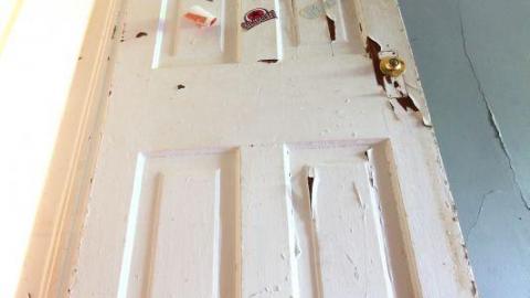 This Eagle Plummets - IMG_2512XVg.jpg