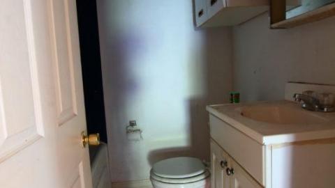 This Eagle Plummets - IMG_25166Sh.jpg