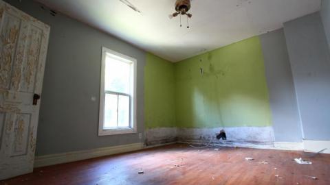 This Eagle Plummets - IMG_25185F6.jpg