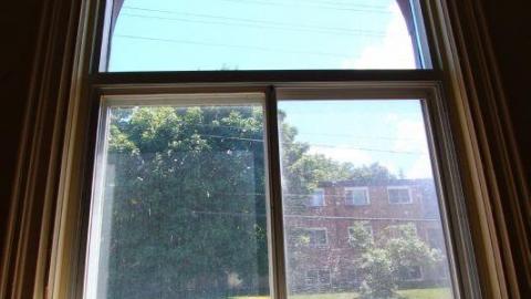 This Eagle Plummets - IMG_2521sVl.jpg