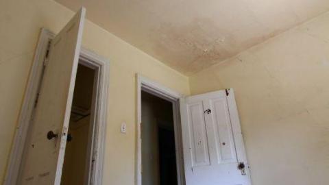 This Eagle Plummets - IMG_2522FeJ.jpg