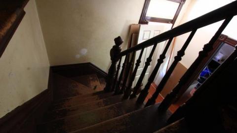 This Eagle Plummets - IMG_2524hIB.jpg