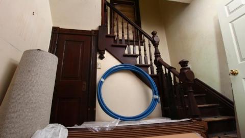 This Eagle Plummets - IMG_2525qla.jpg