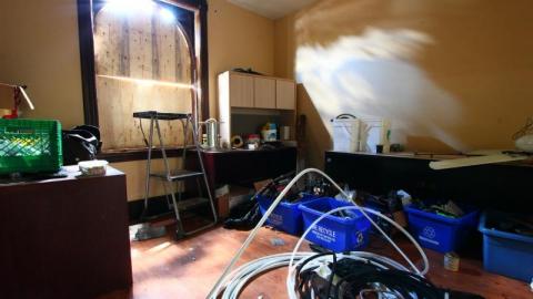 This Eagle Plummets - IMG_2528ybp.jpg