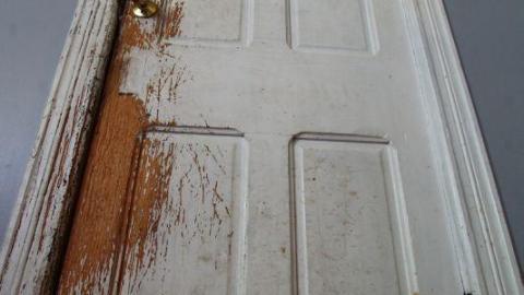 This Eagle Plummets - IMG_2534NUV.jpg