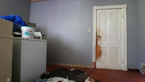 This Eagle Plummets - IMG_2535FEJ.jpg