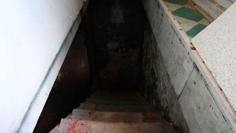 This Eagle Plummets - IMG_2538JYA.jpg