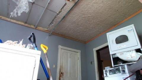 This Eagle Plummets - IMG_2539Hv6.jpg