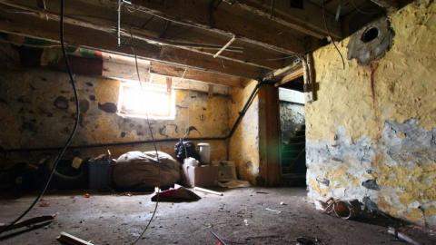 This Eagle Plummets - IMG_2543mMe.jpg