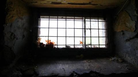 This Eagle Plummets - IMG_2545uJg.jpg