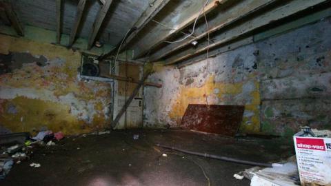 This Eagle Plummets - IMG_2547dfA.jpg