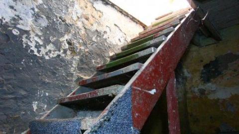 This Eagle Plummets - IMG_2548akW.jpg