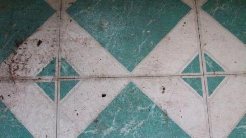 This Eagle Plummets - IMG_25549EP.jpg