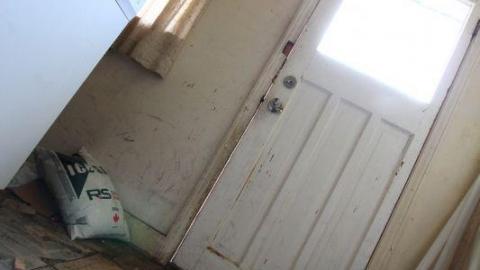 This Eagle Plummets - IMG_2557ZFh.jpg