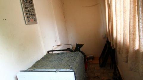 This Eagle Plummets - IMG_2559sLZ.jpg