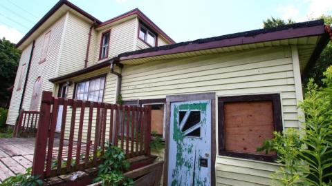 This Eagle Plummets - IMG_2561iqj.jpg