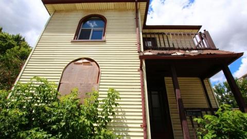 This Eagle Plummets - IMG_25648dB.jpg