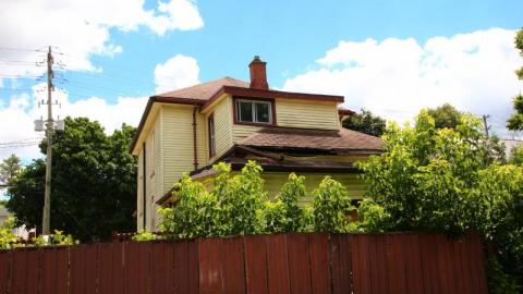 This Eagle Plummets - IMG_2566uIV.jpg