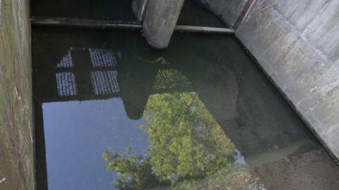 Draining on many occasions - IMG_0924T4.jpg