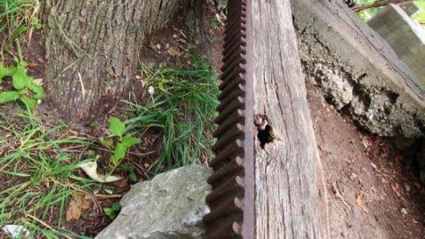 Damn Destroy'd - IMG_2603L75.jpg