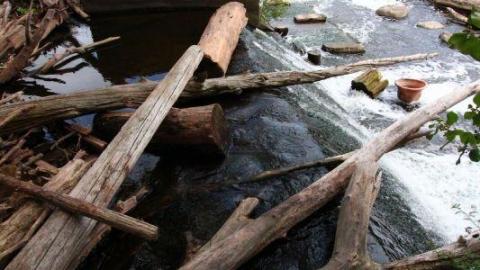 Damn Destroy'd - IMG_2614FZJ.jpg