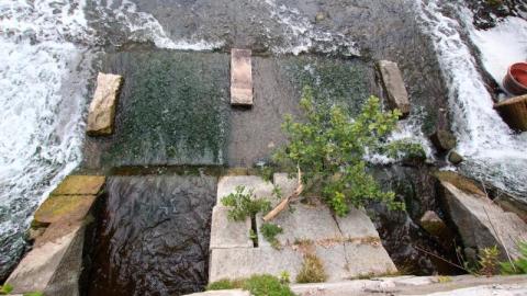 Damn Destroy'd - IMG_2615E1k.jpg