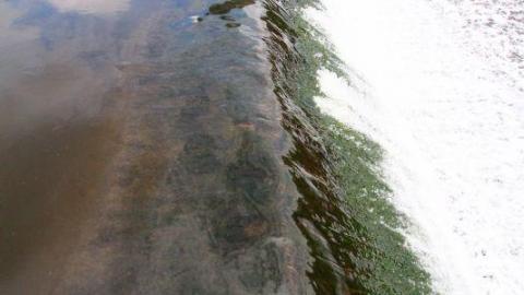 Speed River Dam - Cambridge, Ontario