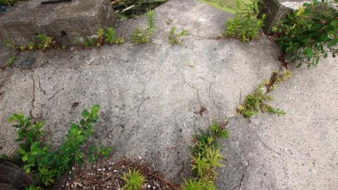 Damn Destroy'd - IMG_2622ouY.jpg