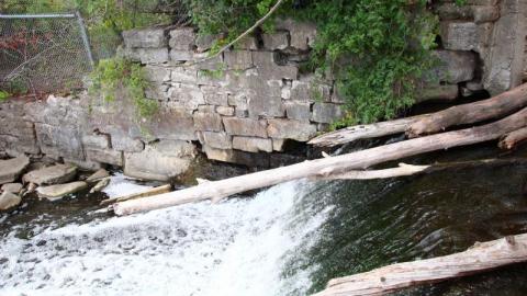 Damn Destroy'd - IMG_2623eRD.jpg