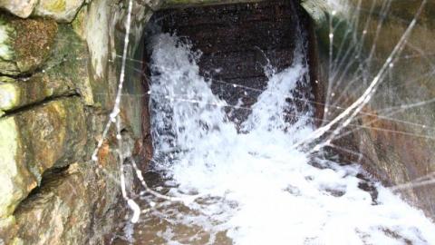 Speed River Dam photo 4