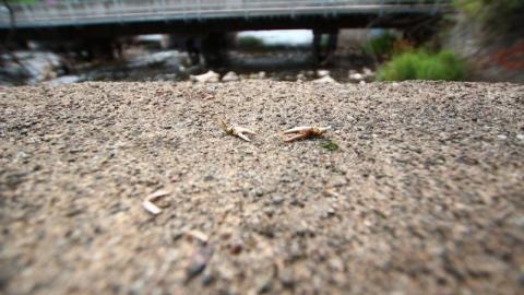 Speed River Dam photo 3