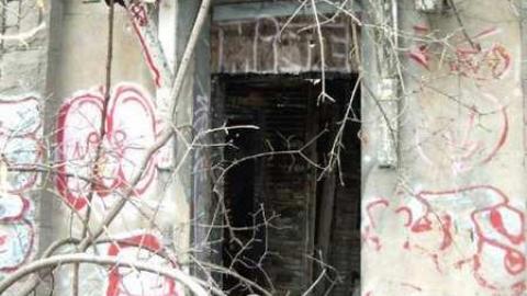 	 Lemieux Island - Lemieux-Island15.jpg