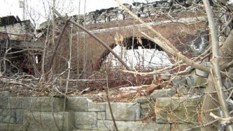 	 Lemieux Island - Lemieux-Island17.jpg