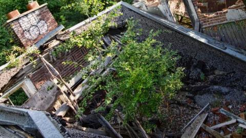 Photo from Smash house