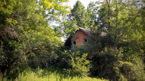 Smash house - IMG_4176sMdF.jpg