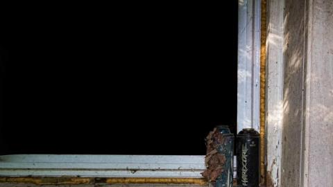 Bare Bones - IMG_4116s8mr.jpg