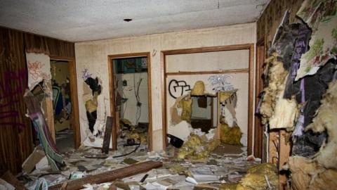 Bare Bones - IMG_4117s1Bc.jpg