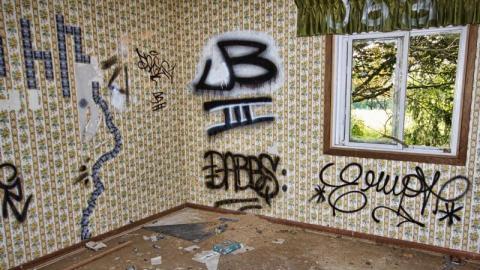 Bare Bones - IMG_4126sU0q.jpg