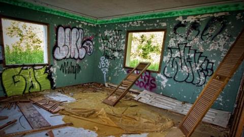 Bare Bones - IMG_4129s5QC.jpg