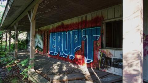 Bare Bones - IMG_4142sovv.jpg