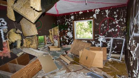 Bare Bones - IMG_4153sEl5.jpg